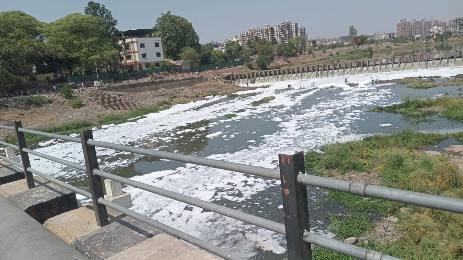 आळंदीत इंद्रायणी नदीला जलप्रदूषणाचा विळखा ; नदी दूषित पाण्याने फेसाळली