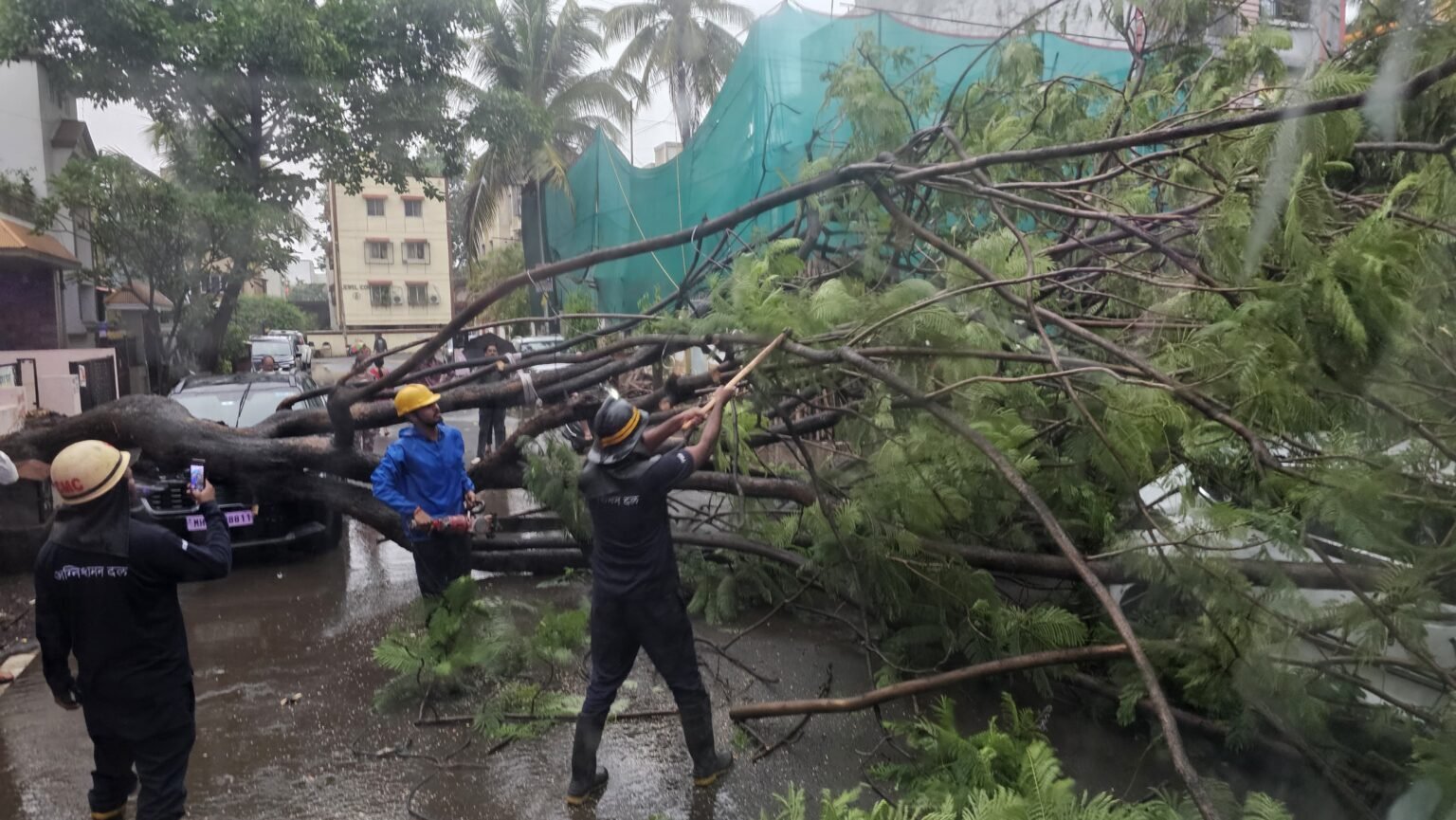 पिंपरी चिंचवड शहरात पावसामुळे ६६ ठिकाणी पडलेली झाडे महानगरपालिकेने तात्काळ हटवली