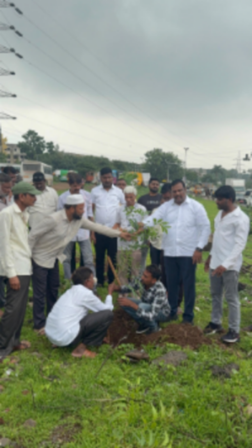 राज ठाकरे यांच्या वाढदिवसानिमित्त पर्यावरणपूरक उपक्रम; वृक्षारोपण संपन्न