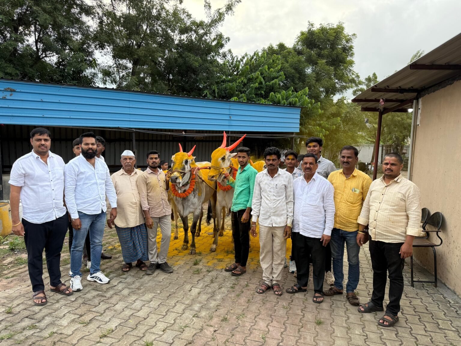 कुदळवाडीत पांरपारिक पध्दतीने बैलपोळा साजरा