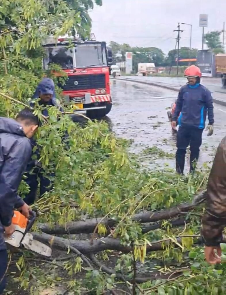 मुसळधार पावसामुळे शहरातील विविध भागांत झाडपडीच्या घटना; अग्निशमन विभागाची तात्काळ कार्यवाही